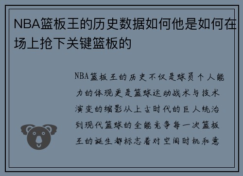 NBA篮板王的历史数据如何他是如何在场上抢下关键篮板的